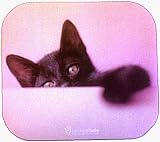 Fellowes Rachael Hale Kitten Mouse Pad 5949002