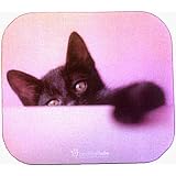 Fellowes Rachael Hale Kitten Mouse Pad 5949002 by 