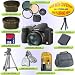 PANASONIC LUMIX DMC-FZ8 W/ 4.0GB ACCESSORY KIT+LENSES