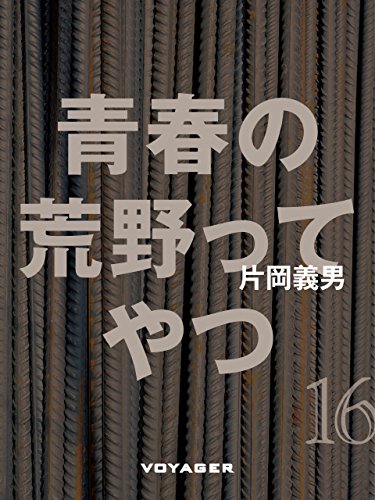 青春の荒野ってやつ (Japanese Edition)