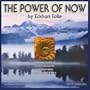The Power of Now 2011 Wall Calendar