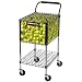 Gamma Brute Teaching Cart