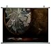 Fullmetal Alchemist 19x14 Anime ArtPrint Scroll Poster 005C
