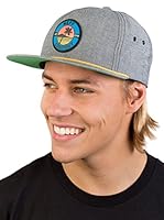 Neff Gorra Palm Patch (Gris)