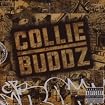 Collie Buddz