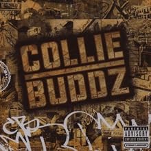 Collie Buddz