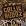 Collie Buddz