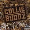 Image of album by Collie Buddz