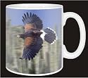 HARRIS HAWK BIRD of PREY Coffee Mug