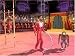 Circus Empire (PC)