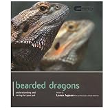 Bearded Dragon - Pet Expert: Understanding and Caring for Your Pet