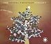 Music : The Gospel Christmas Project