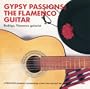 Gypsy Passions: The Flamenco Guitar