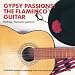 Gypsy Passions: The Flamenco Guitar