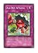 YuGiOh! Phantom Darkness 1st Edition # PTDN-EN075 All-Out Attacks - Common - Single Y...