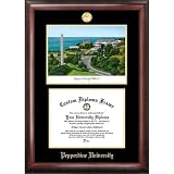 Pepperdine University Gold Embossed Diploma Frame with Limited Edition Lithograph