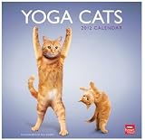 Yoga Cats 2012 Wall Calendar 12