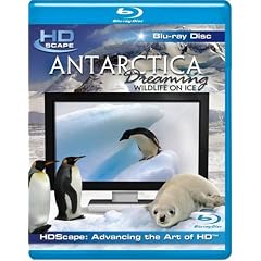 Antarctica Dreaming [Blu-ray] by 