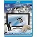Antarctica Dreaming - Wildlife On Ice [Blu-ray] [2005]