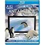 Antarctica Dreaming - Wildlife On Ice [Blu-ray] [2005]
