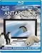 Antarctica Dreaming - Wildlife On Ice [Blu-ray] [2005]