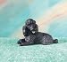 Figurine Black Poodle Hand Painted Resin