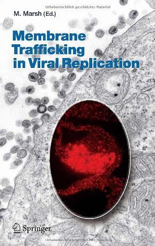 Membrane Trafficking in Viral Replication: 285 (Current Topics in Microbiology and Immunology)