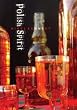 Polish Spirit [DVD Video]