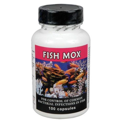 Fish Mox (Amoxicillin) 250mg, 100 Capsules