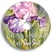 Painting Iris in Watercolor with Susie Short