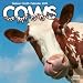 2009 Cows Wall Calendar