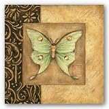 Luna Moth Square by Susan Winget 8