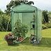 Gardman R688 Walk-In Greenhouse