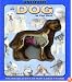 Uncover a Dog (Uncover Books)