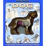 Uncover a Dog (Uncover Books)