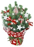 Live Tabletop Christmas Tree with Christmas Decorations & Lights