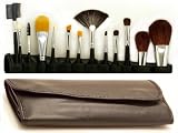 14 Piece Master Makeup Brush Applicator Set
