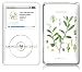 Music Skins iPod Classic用フィルム  Amongst Friends  Can't Feel My Face  iPod classic  MSFSIPC00010でAmazonアフィリエイトツール