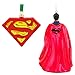 Hallmark Superman and Logo Set of Two Christmas Ornament