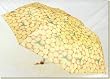 Pasotti - Women's 'Fruit' Compact Umbrella