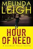 Hour of Need (Scarlet Falls)