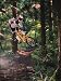 Art4Kids AB21508 BMX Biker II - Creative Canvas, Art Block Mount