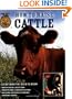 How To Raise Cattle: Everything You Need To Know