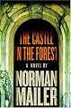 The Castle in the Forest: A Novel