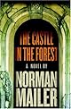 The Castle in the Forest: A Novel