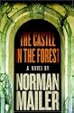 The Castle in the Forest
