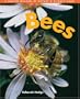 Bees (Denver Museum Insect Books)