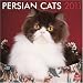 Search : Persian Cats 2011 Square 12X12 Wall Calendar