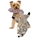 JML AS Seen ON TV Crazy Critter Critters - Racoon Squeaky Stuffing Free Dog Toy