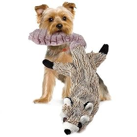 JML AS Seen ON TV Crazy Critter Critters - Racoon Squeaky Stuffing Free Dog Toy